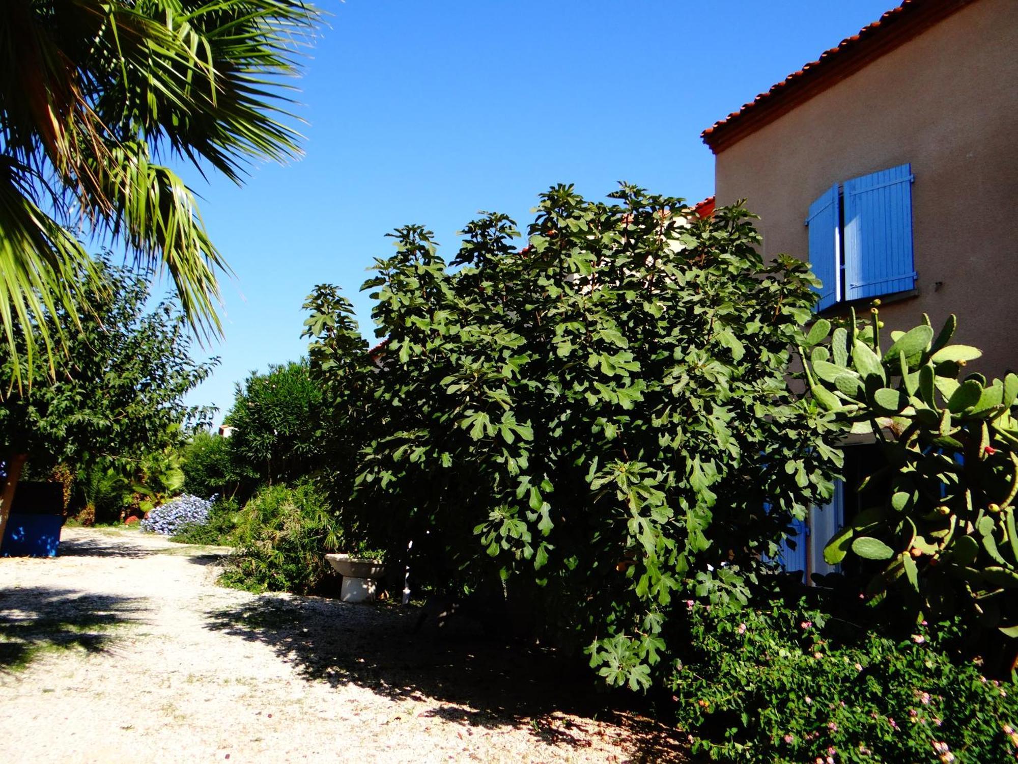 Residence L'Orangeraie-2-Claira 66530 Zewnętrze zdjęcie
